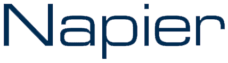 Napier B2B logo